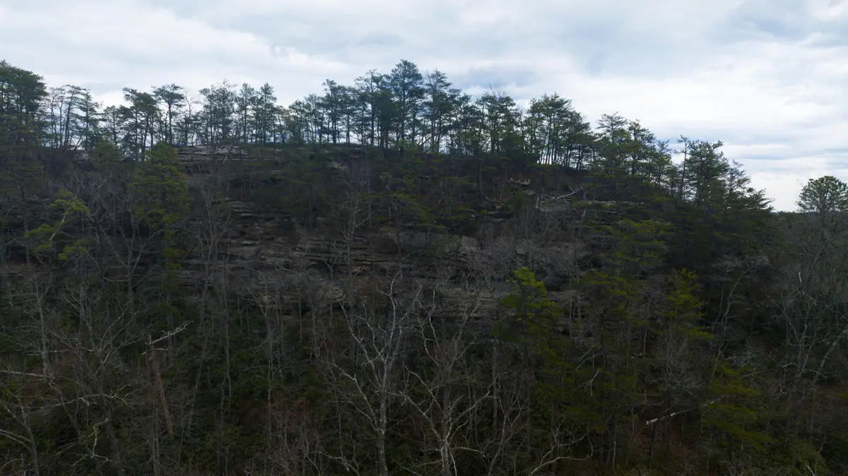 0 South Fork, Stanton, KY 40380 - #1
