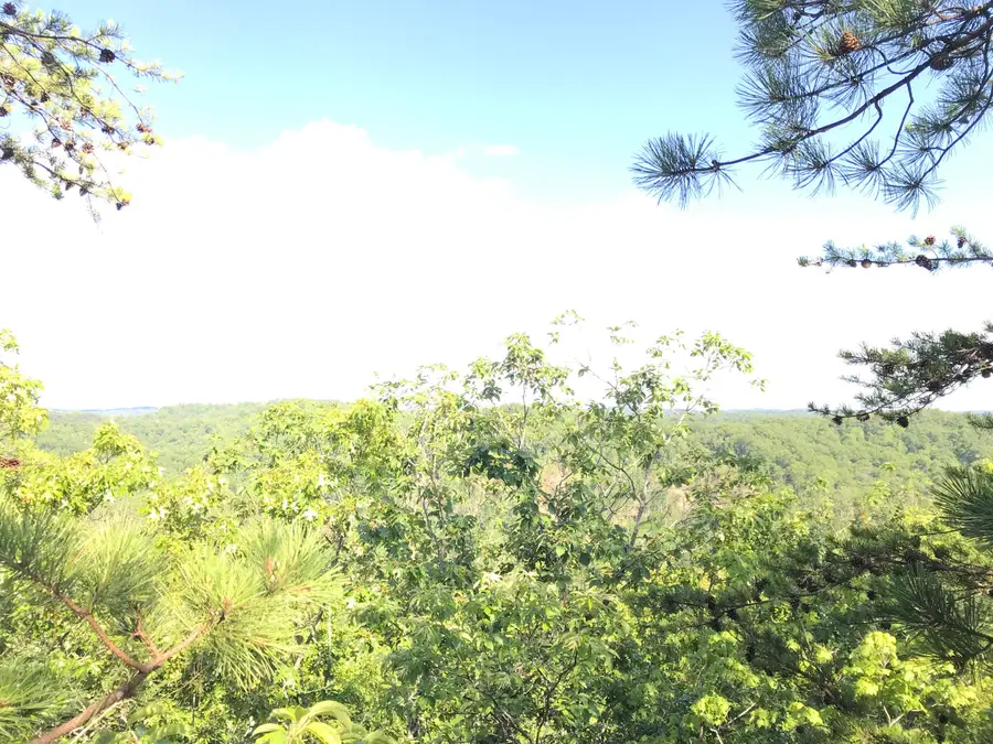 0 South Fork, Stanton, KY 40380 - #3