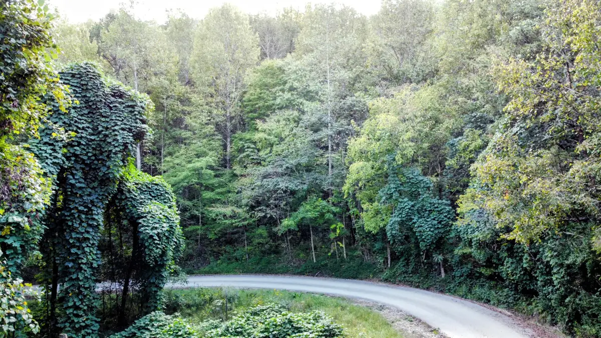309 Smokey Joe Drive, Barbourville, KY 40906 - #1