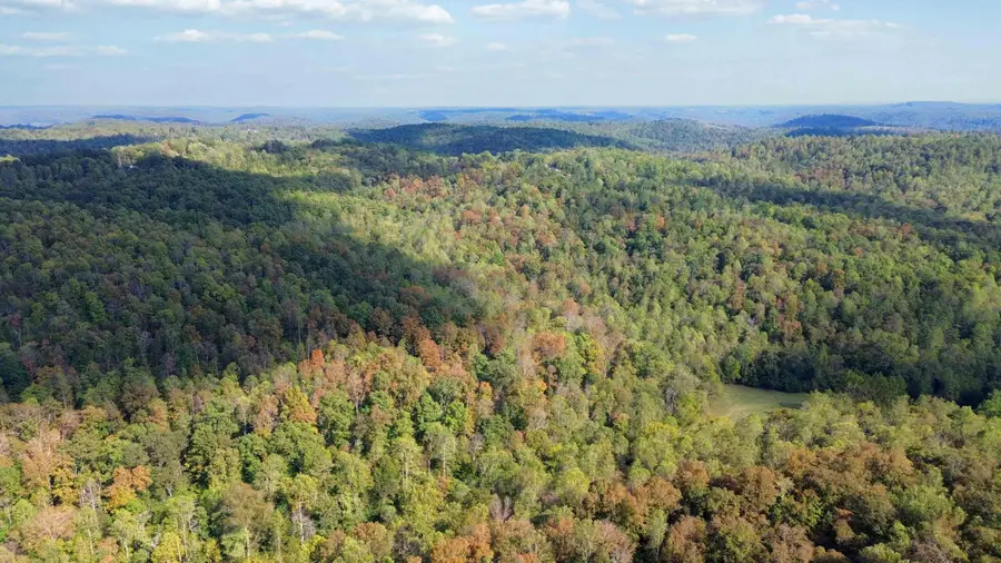 600 James Meece Road, Somerset, KY 42501 - #3