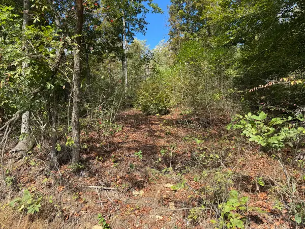 0 Indian Creek Road, Hillsboro, KY 41049