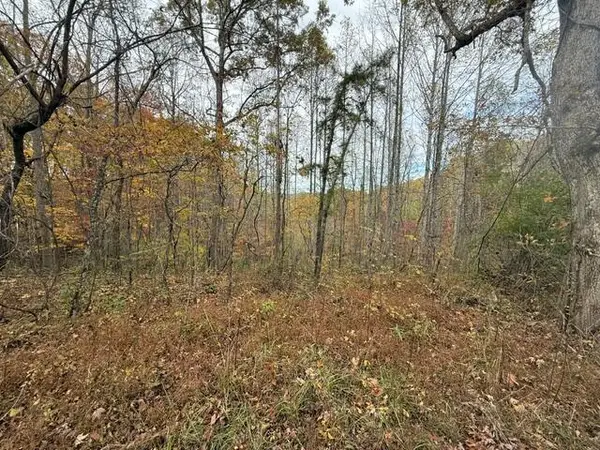 123  Crestmont-hales Ridge, Beattyville, KY 41311