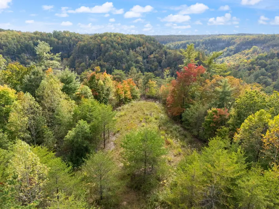 Lot 65 Shawnee Run, Rogers, KY 41365 - #2