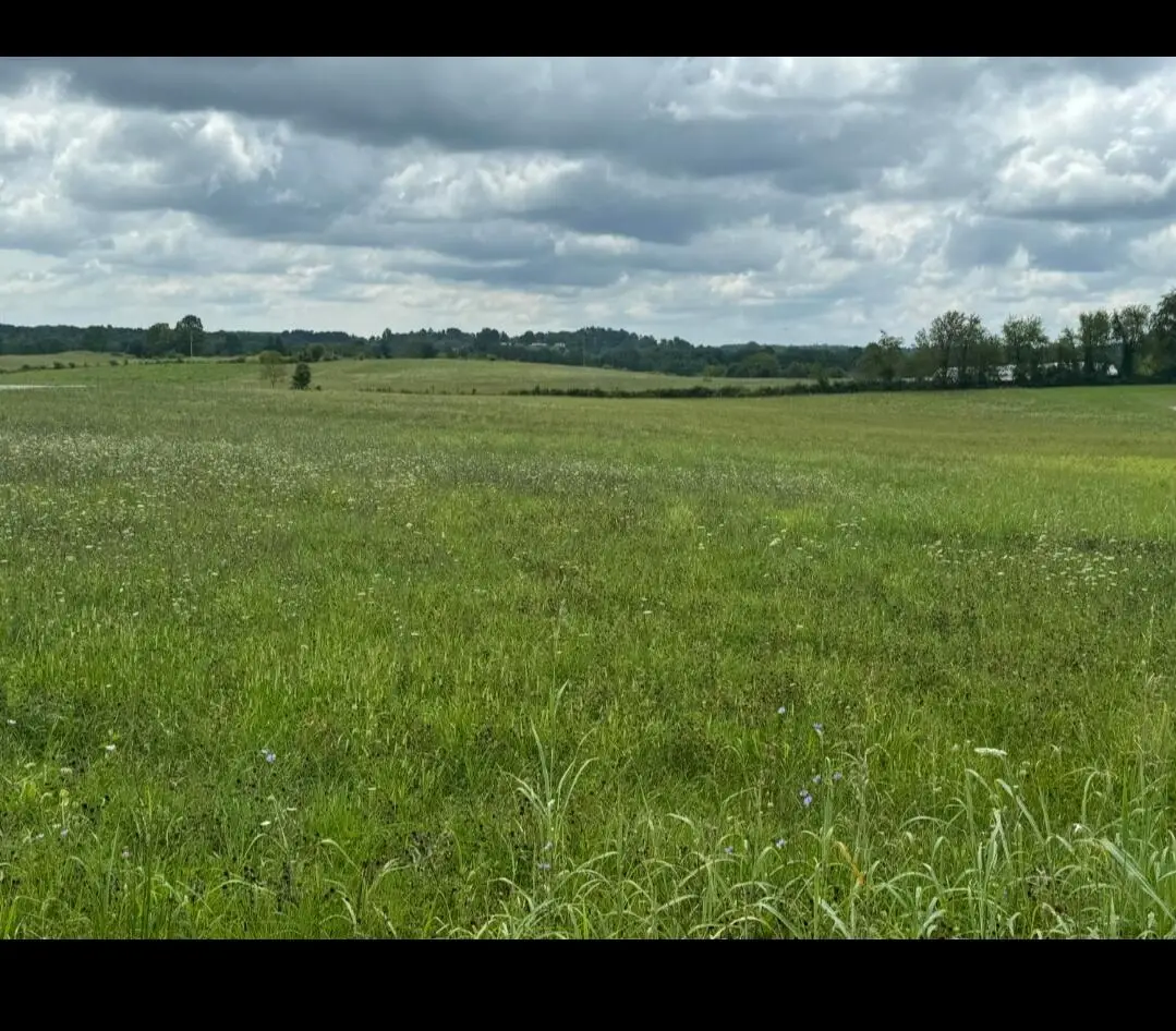 00000 Wyan Road, London, KY 40744 - #1