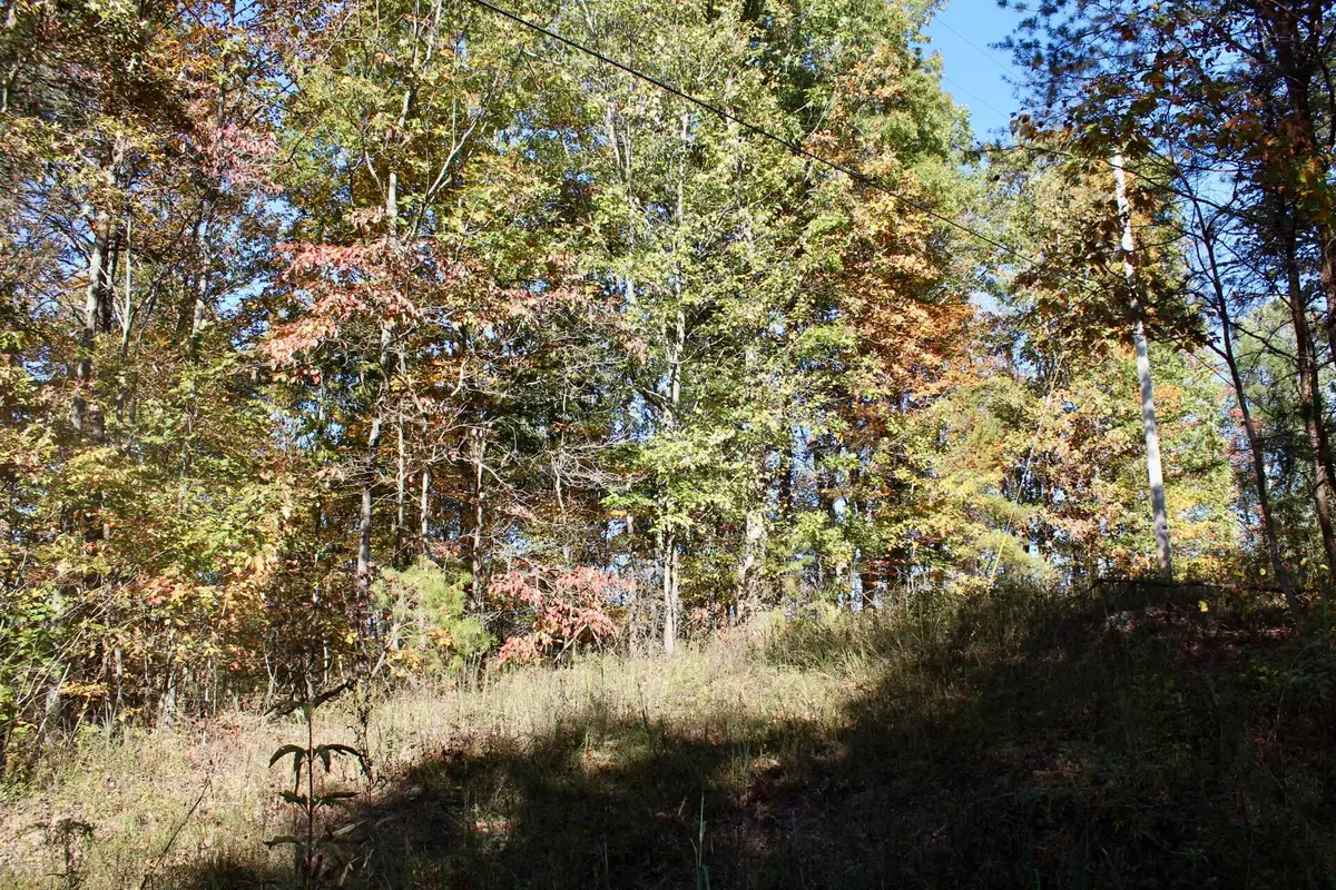 2577 Hazel Patch Road, East Bernstadt, KY 40729 - #1