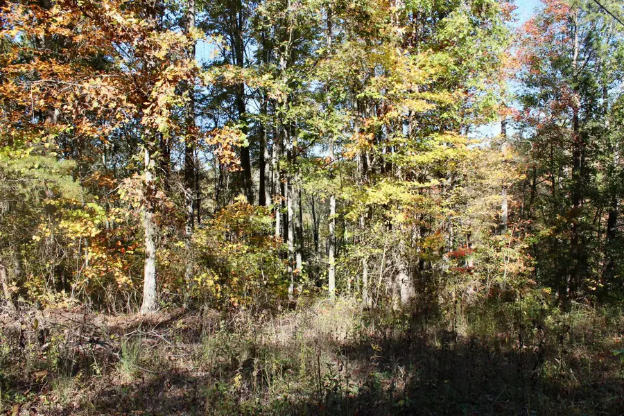 2577 Hazel Patch Road, East Bernstadt, KY 40729 - #3