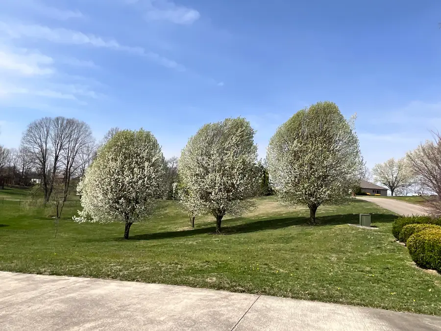 415 Splendor View Drive, Somerset, KY 42503 - #3