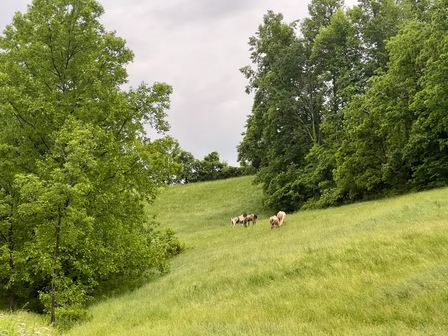 811 Glen Lawson Road, Ezel, KY 41425 - #3