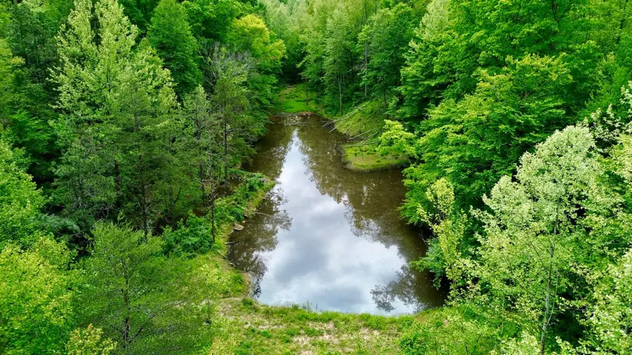 379A Highway 1690, Louisa, KY 41230 - #2