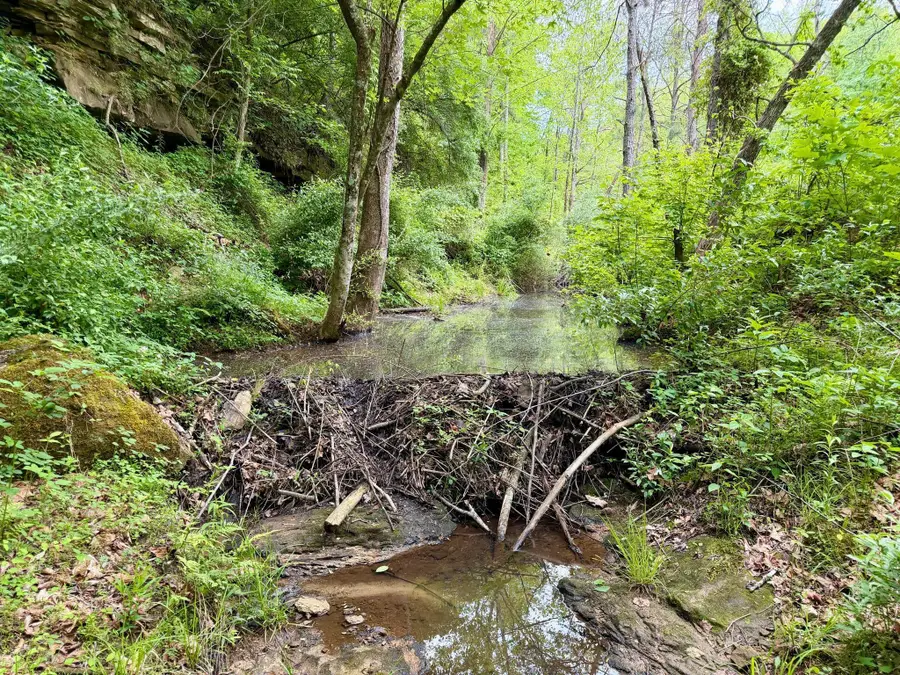 379A Highway 1690, Louisa, KY 41230 - #3