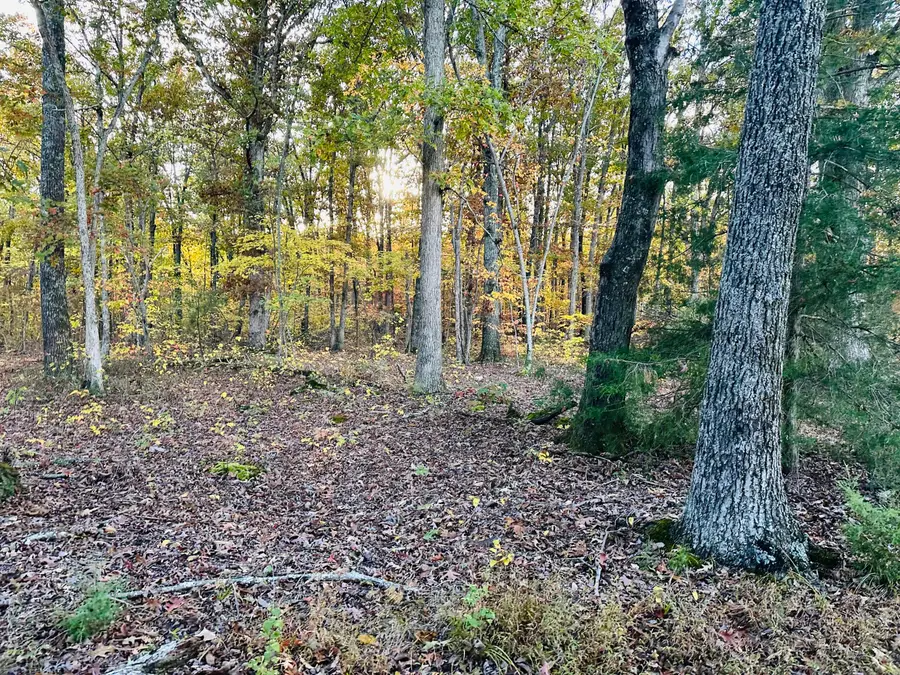 Tract 2 Sam Baughman Rd, Stanford, KY 40484 - #3