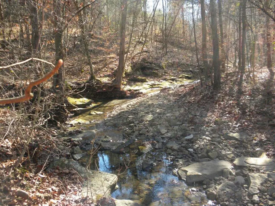 2409 Benleo Road, Bowling Green, KY 42101 - #1