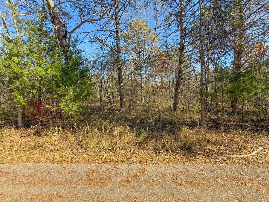 Lot 179 Genes Road, Somerset, KY 42501 - #3