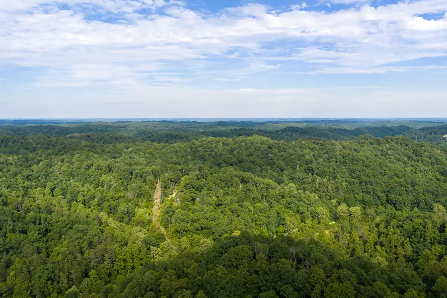 80 Gregory Way, Olive Hill, KY 41164 - #2