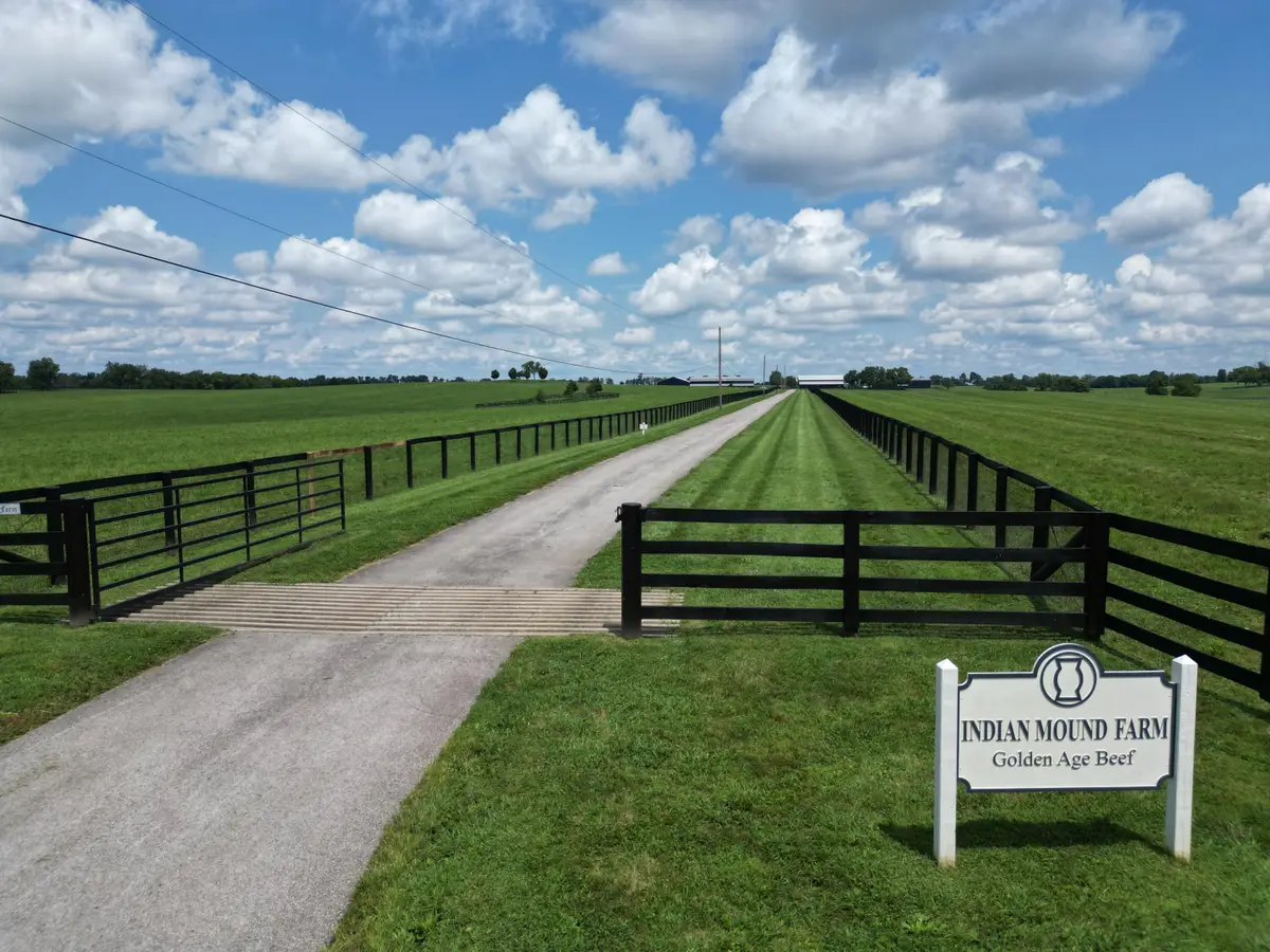 5335 Russell Cave Road, Lexington, KY 40511 - #1