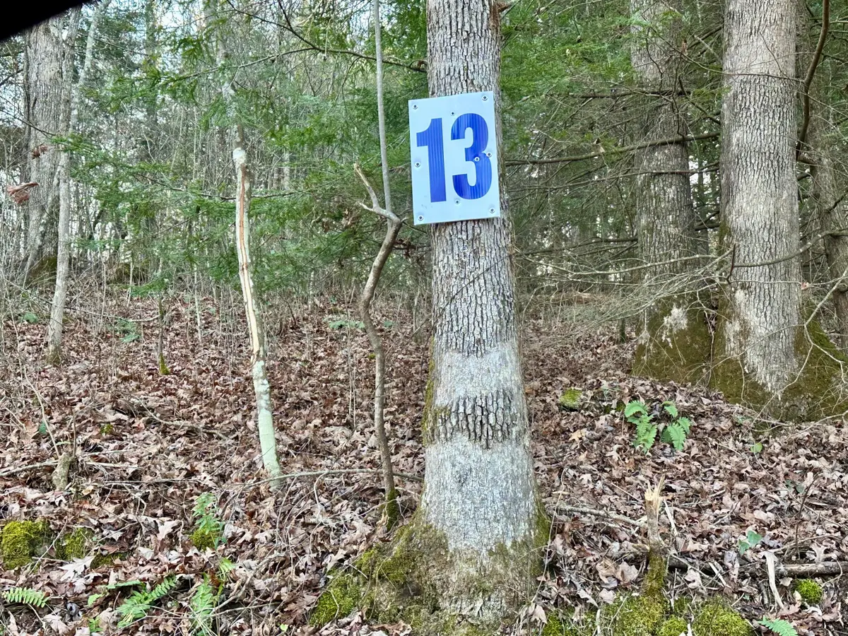 Lot 13 Hensley Road, East Bernstadt, KY 40729 - #1