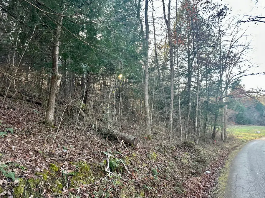 Lot 13 Hensley Road, East Bernstadt, KY 40729 - #2