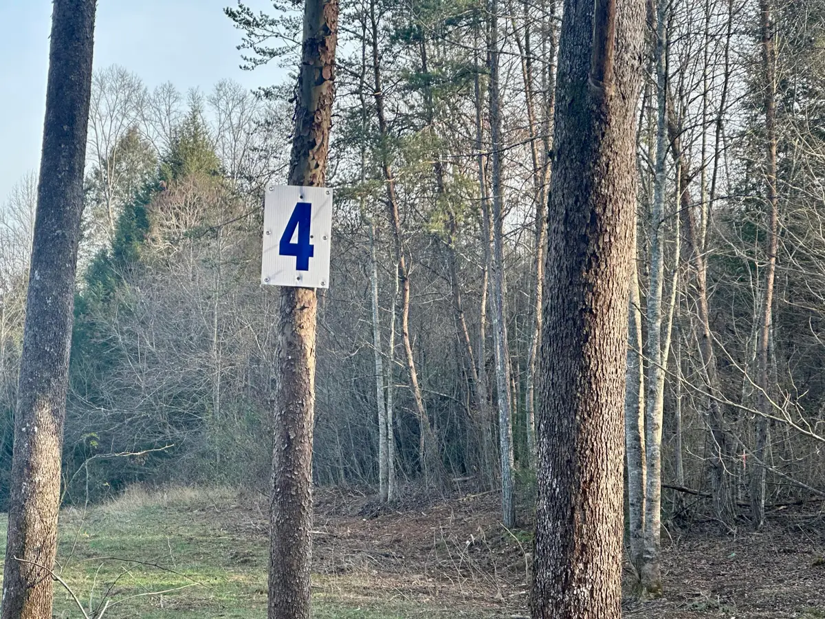 Lot 4 Radford Road, East Bernstadt, KY 40729 - #1