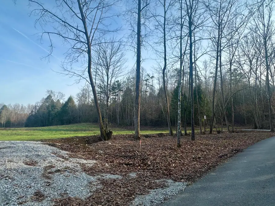Lot 4 Radford Road, East Bernstadt, KY 40729 - #3