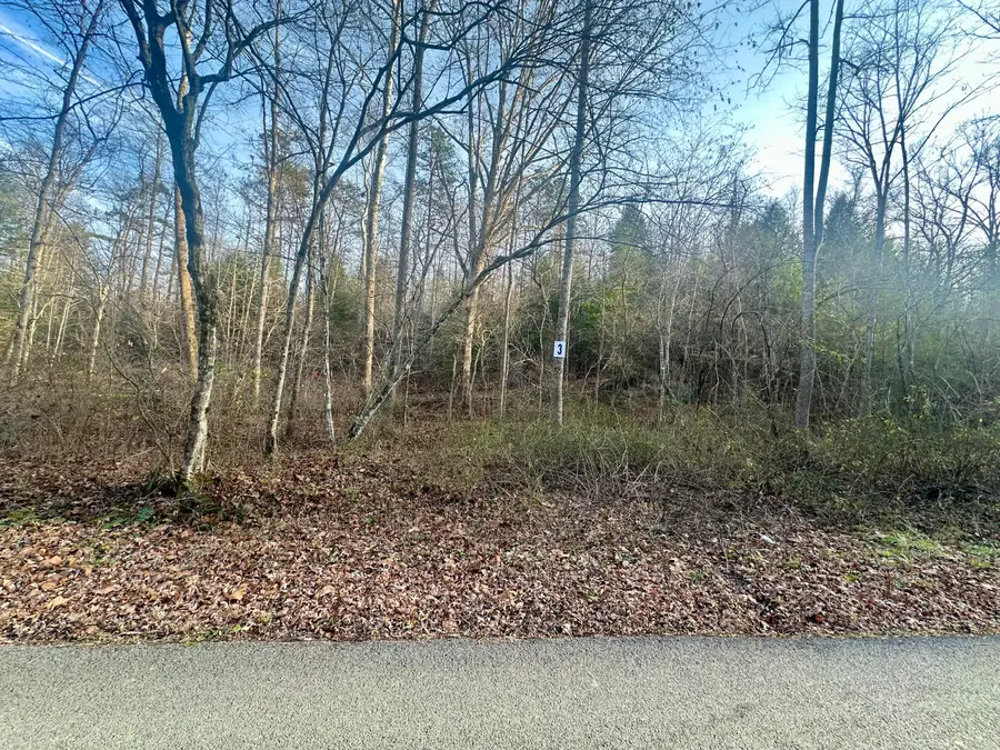 Lot 3 Radford Road, East Bernstadt, KY 40729 - #2