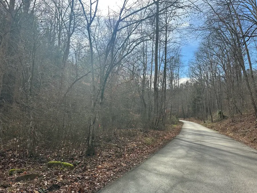Lot 2 Radford Road, East Bernstadt, KY 40729 - #3