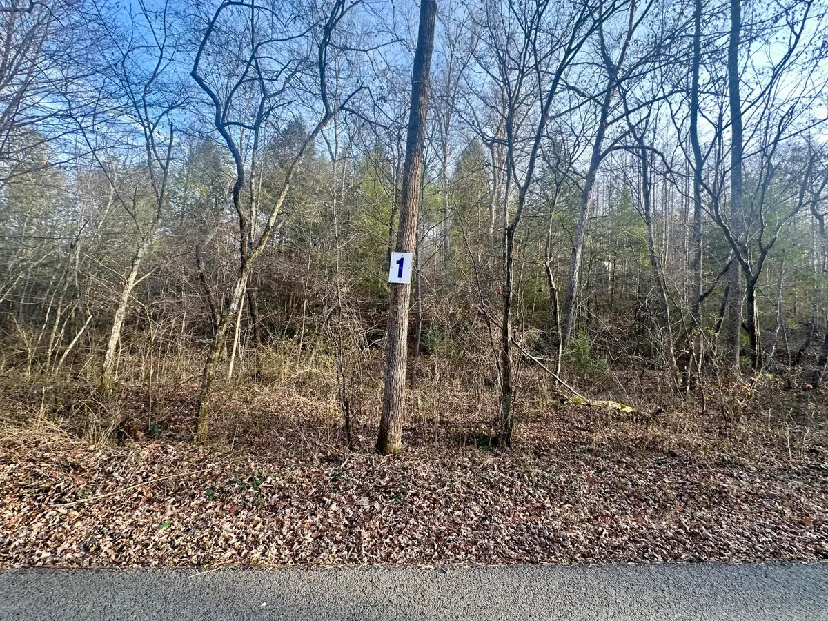 Lot 1 Radford Road, East Bernstadt, KY 40729 - #1