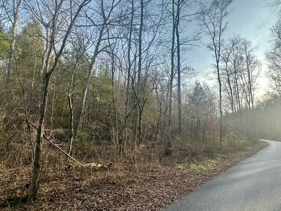 Lot 1 Radford Road, East Bernstadt, KY 40729 - #3