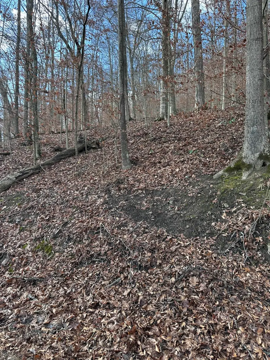 TBD North Fork Rd, Stanton, KY 40380 - #2