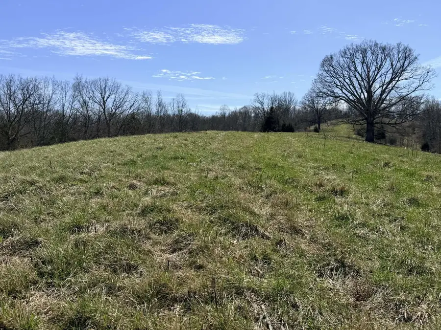 1A Crooked Creek Road, Carlisle, KY 40311 - #2