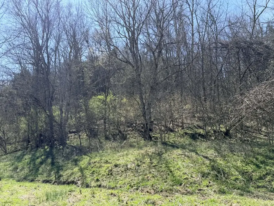 1A Crooked Creek Road, Carlisle, KY 40311 - #3