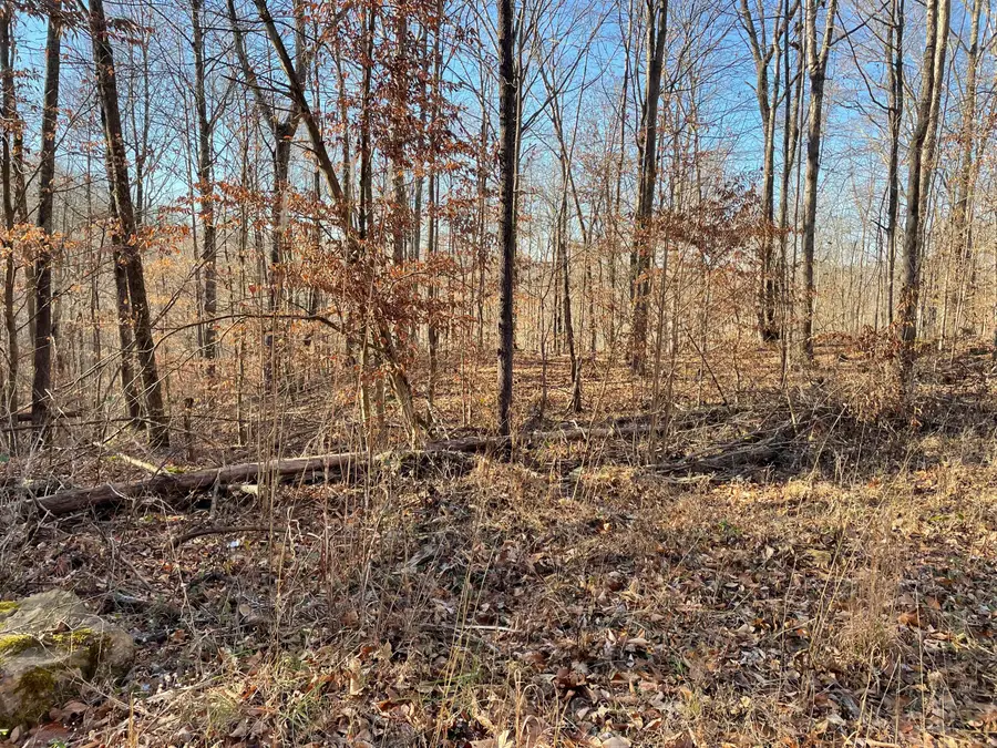 1901 Dixie Bend Road, Burnside, KY 42519 - #3