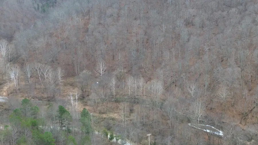 175A Improvement Branch, Jackson, KY 41339 - #3
