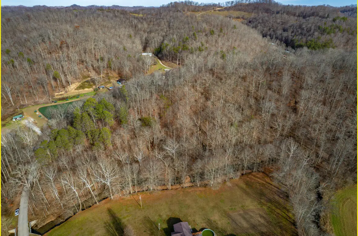 0 Board Tree Road, Salyersville, KY 41465 - #1