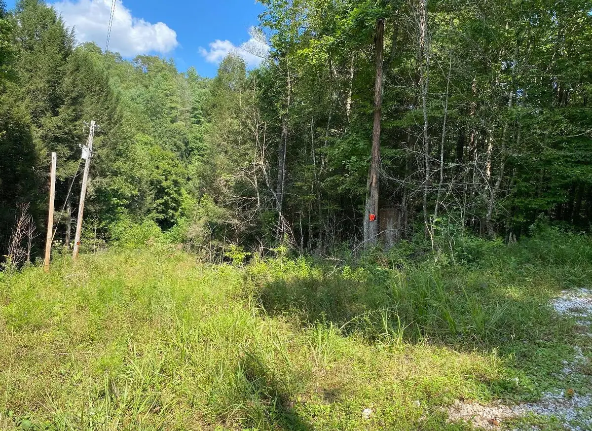 44 Indian Valley Retreat, Zoe, KY 41397 - #1