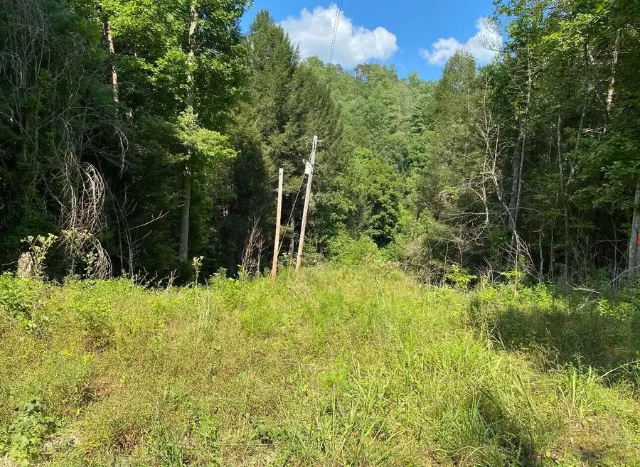 44 Indian Valley Retreat, Zoe, KY 41397 - #2