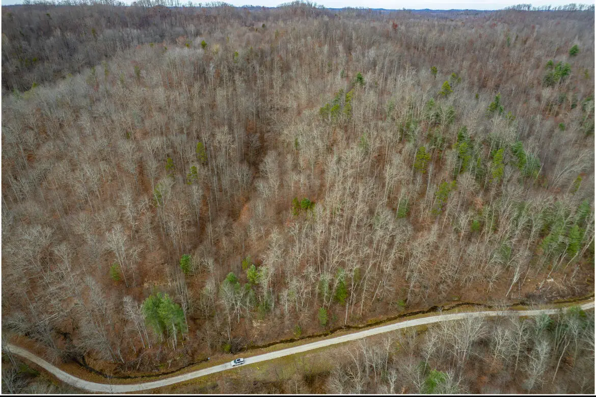 9999 Stable Branch Road, Salyersville, KY 41465 - #1