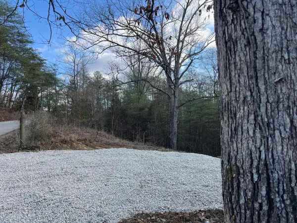 Lot 29  Lower Hollertop Road, Campton, KY 41301