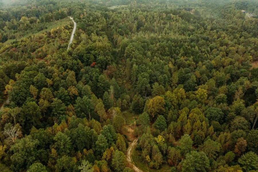 Lot 31 Lower Hollertop Road, Campton, KY 41301 - #2