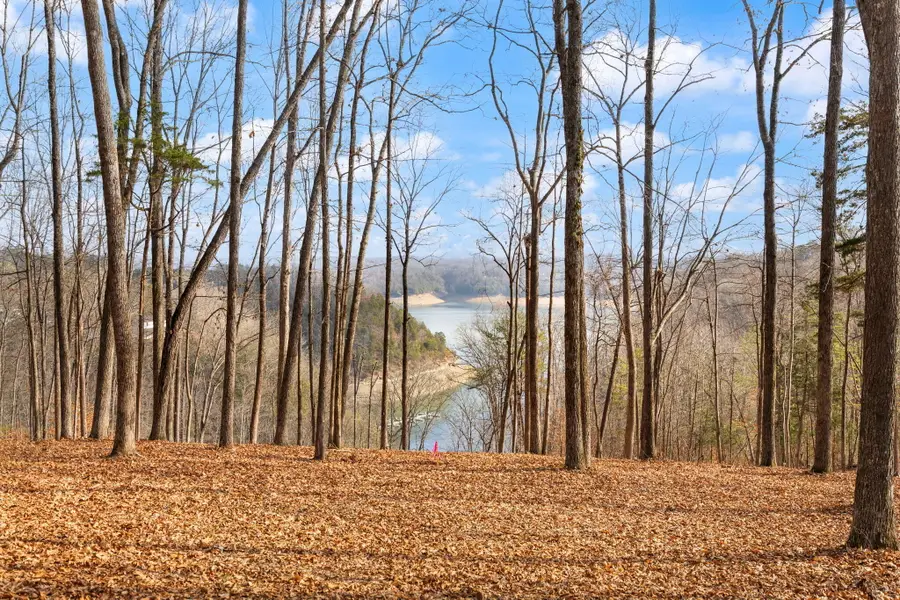 Tract 1 Hwy 196, Nancy, KY 42544 - #3