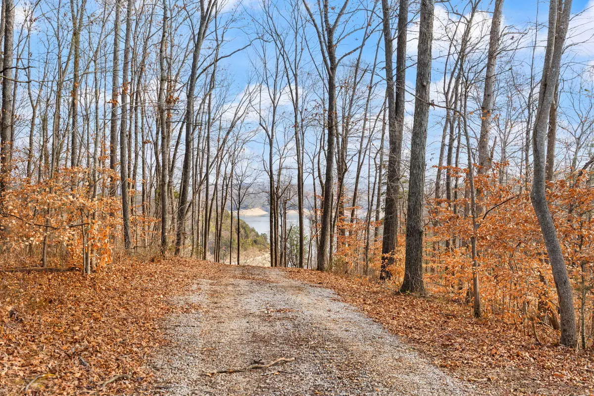 Tract 2 Hwy 196, Nancy, KY 42544 - #1