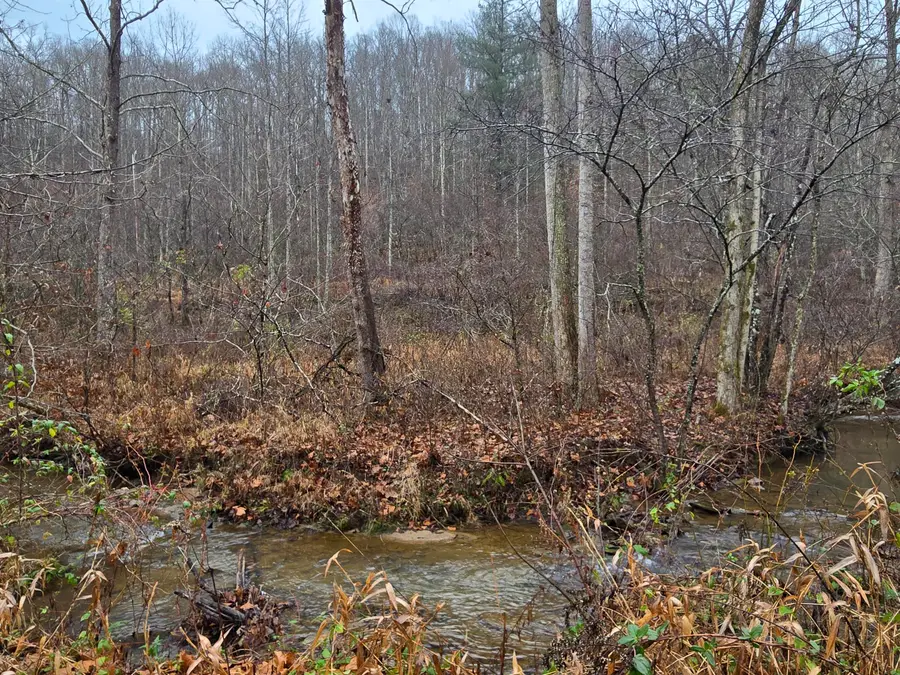 Lot 1,2,3,4 High Rock Road, Stanton, KY 40380 - #3