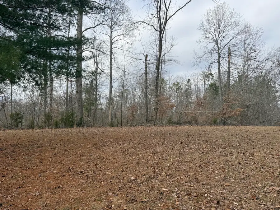45 Scafidi Lane, Jamestown, KY 42629 - #3