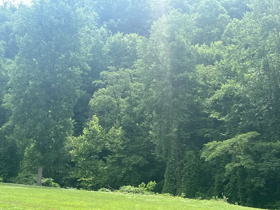 0000 Walnut Lane, Harlan, KY 40831 - #3