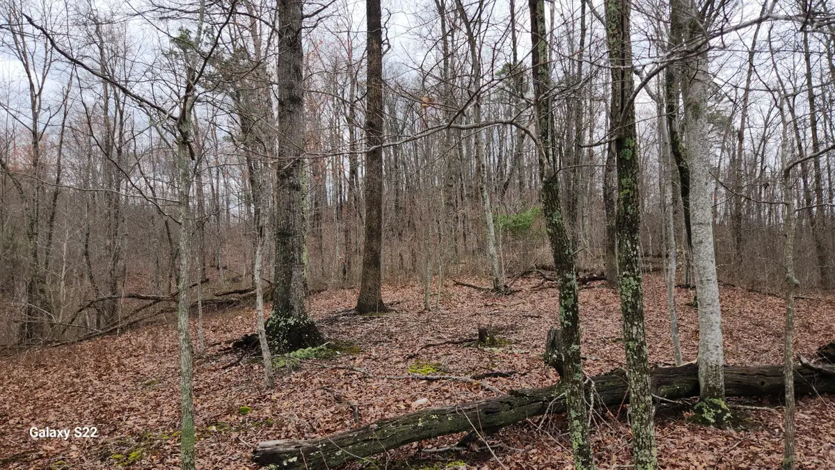 3504 East Fork Road, Means, KY 40346 - #1