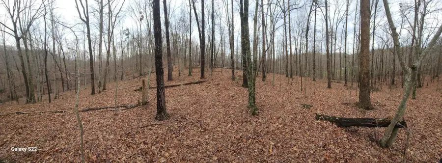 3504 East Fork Road, Means, KY 40346 - #2