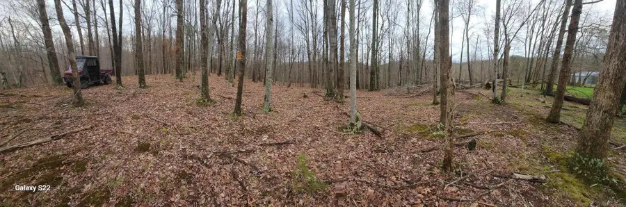 3504 East Fork Road, Means, KY 40346 - #3