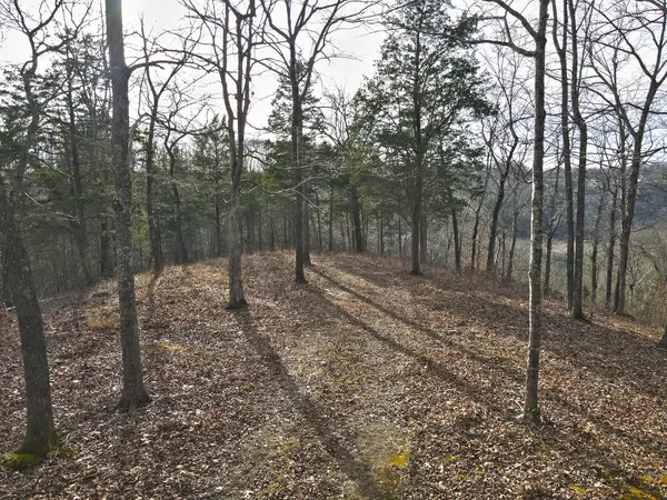 5 Carson Road, Russell Springs, KY 42642