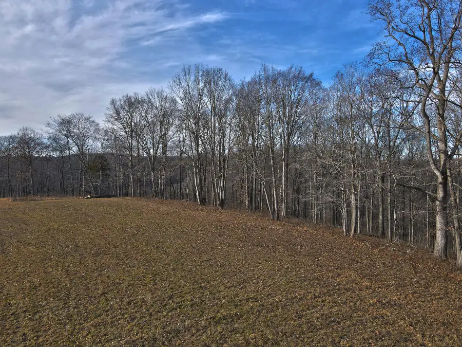 22 Dockery Road, Russell Springs, KY 42642 - #2