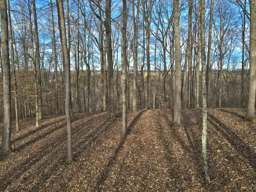 25 Piper Road, Russell Springs, KY 42642 - #3