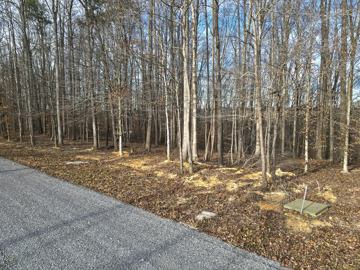 29 Piper Road, Russell Springs, KY 42642 - #1